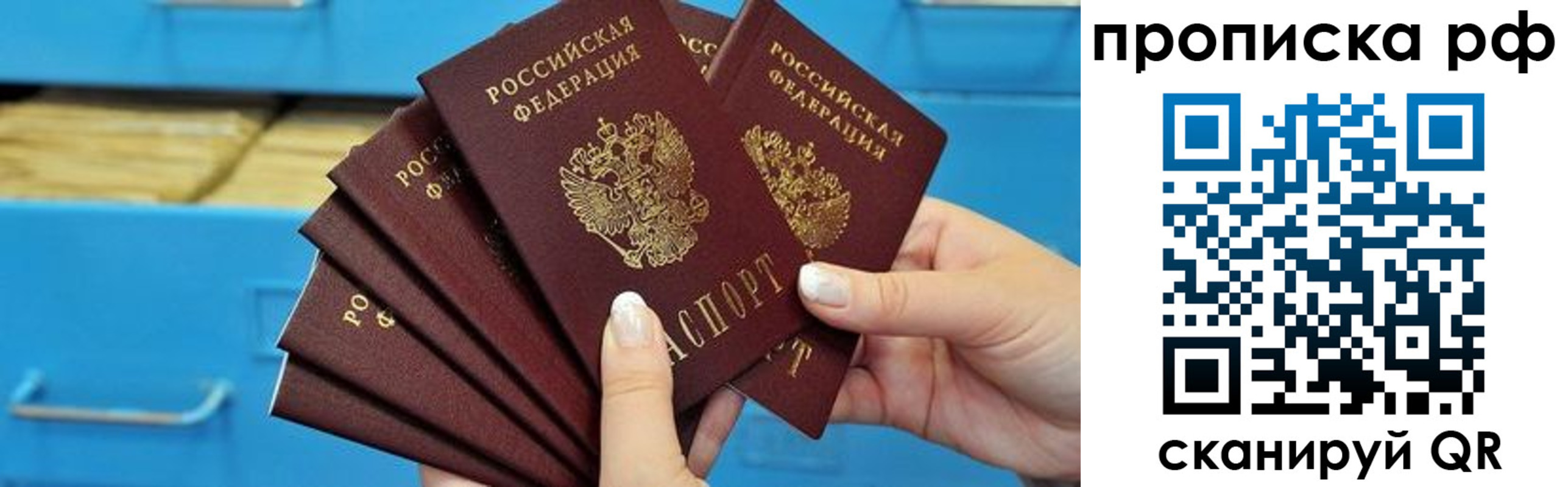 прописка поиск в Волгограде